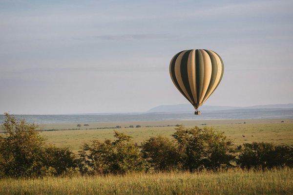 Quels sont les meilleurs itinéraires pour une balade en montgolfière au-dessus des champs de lavande en Provence?
